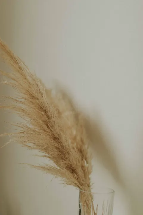 Cream Minimal Phone Wallpaper · pastel · 1440×2160