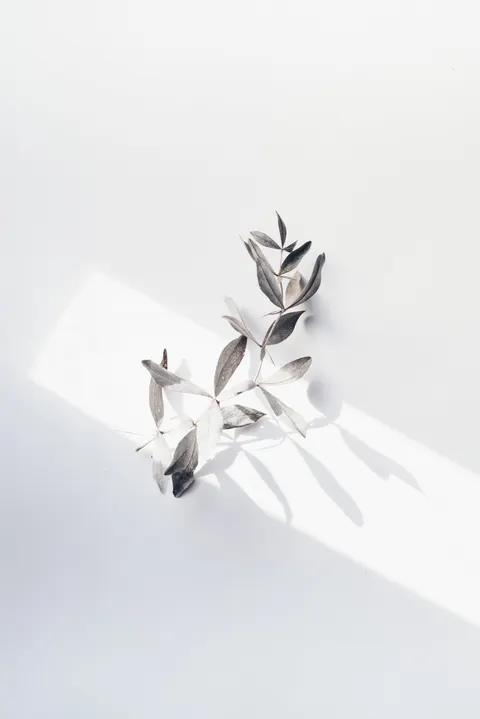 Cream Minimal Phone Wallpaper · pastel · 1440×2157