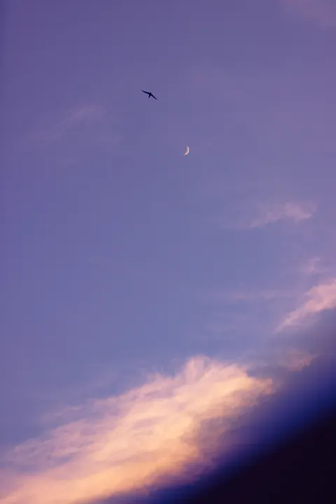 Pastel Sky Phone Wallpaper · pastel · 1440×2160