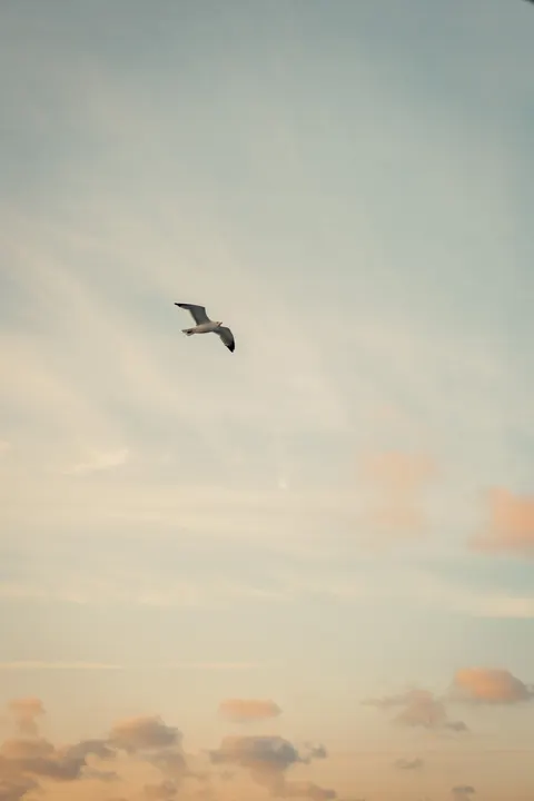 Pastel Sky Phone Wallpaper · pastel · 1440×2160