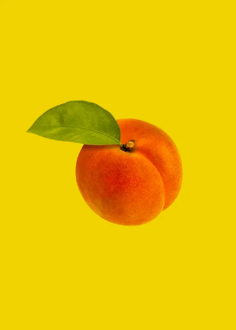 Peach Minimal Phone Wallpaper · pastel · 1440×2016