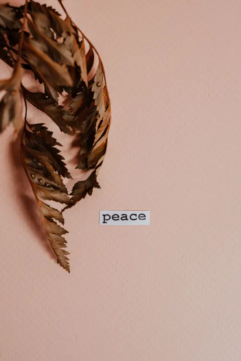 Peach Minimal Phone Wallpaper · pastel · 1440×2160