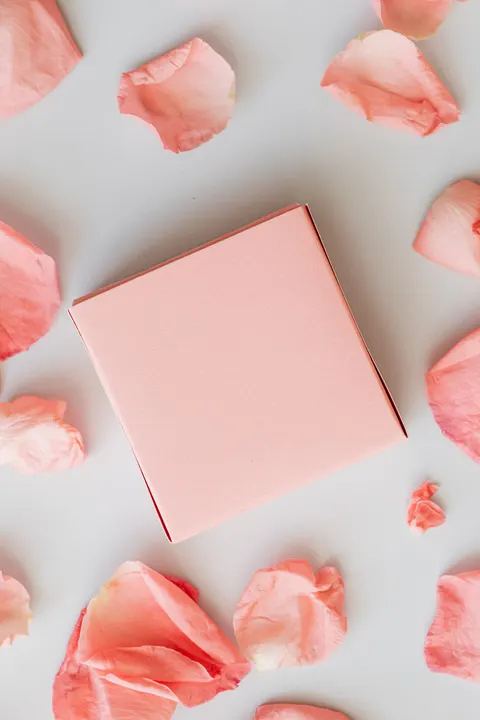 Peach Minimal Phone Wallpaper · pastel · 1440×2160