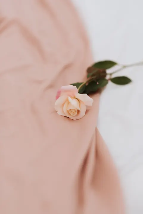Peach Minimal Phone Wallpaper · pastel · 1440×2157