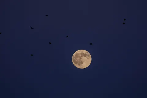 Full Moon 4K Wallpaper · space · 3840×2560
