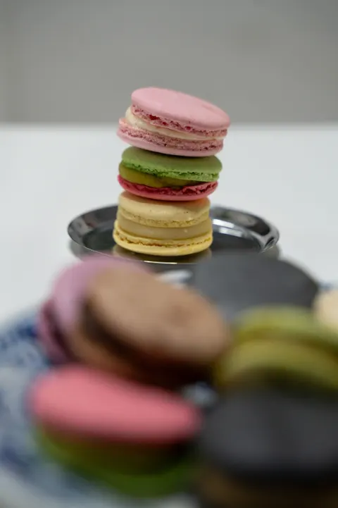 Macaron Phone Wallpaper · pastel · 1440×2160