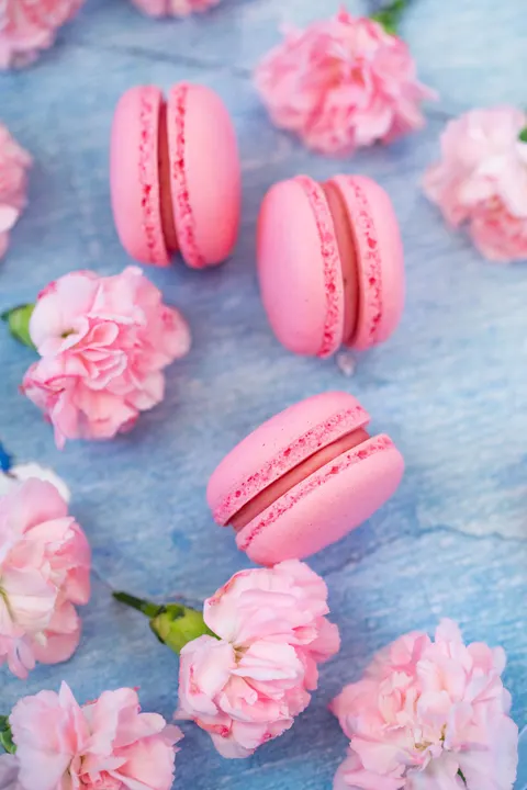 Macaron Phone Wallpaper · pastel · 1440×2160