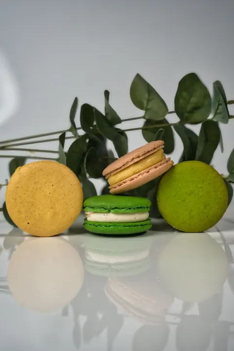 Macaron Phone Wallpaper · pastel · 1440×2160