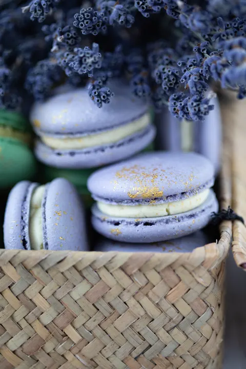Macaron Phone Wallpaper · pastel · 1440×2160