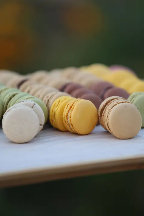 Macaron Phone Wallpaper · pastel · 1440×2160