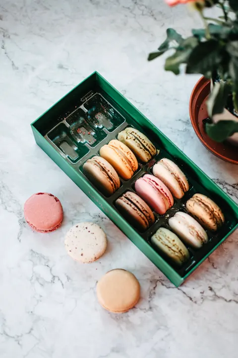 Macaron Phone Wallpaper · pastel · 1440×2160