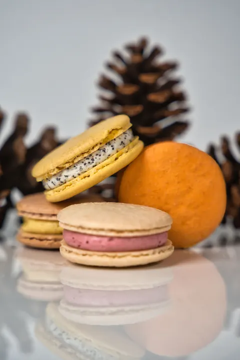 Macaron Phone Wallpaper · pastel · 1440×2160