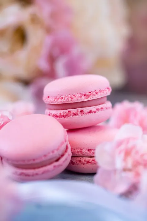Macaron Phone Wallpaper · pastel · 1440×2160