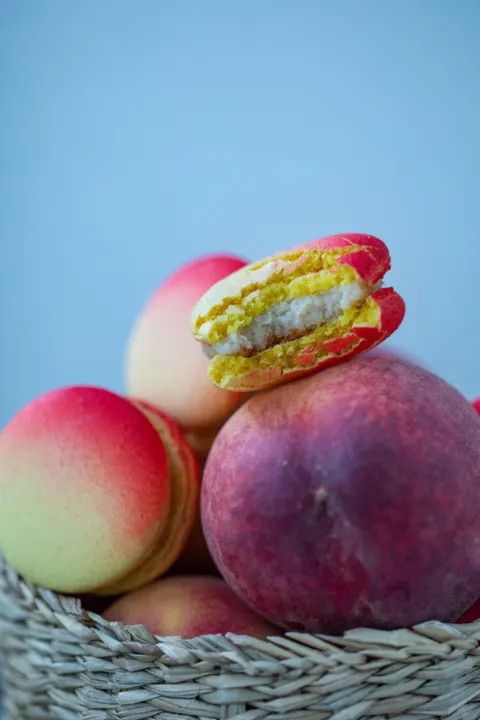 Macaron Phone Wallpaper · pastel · 1440×2160