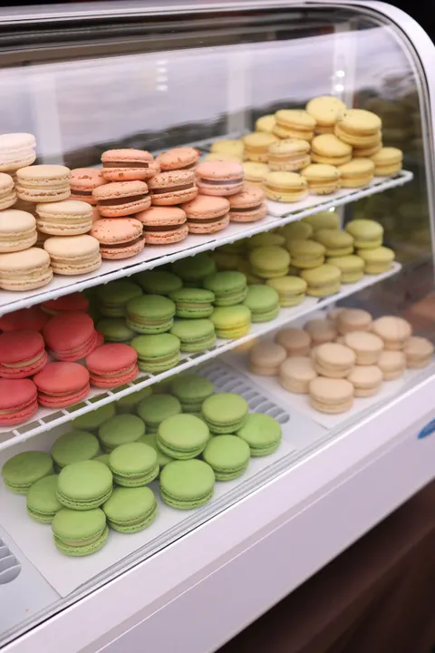 Macaron Phone Wallpaper · pastel · 1440×2159