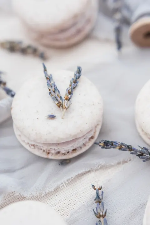 Macaron Phone Wallpaper · pastel · 1440×2158