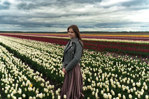 Tulpenveld 4K-achtergrond · flowers · 3840×2560