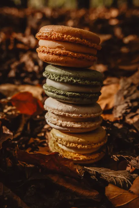 Macaron Phone Wallpaper · pastel · 1440×2160