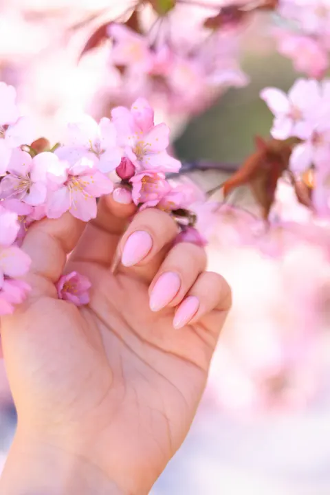 Blossom Pink Phone Wallpaper · pastel · 1440×2159