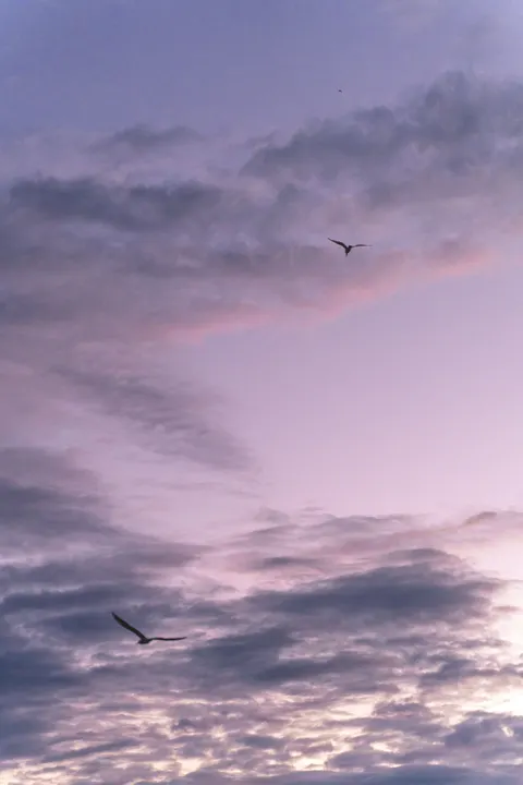 Pastel Clouds Phone Wallpaper · pastel · 1440×2160