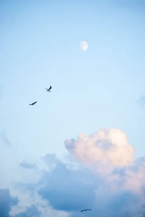 Pastel Clouds Phone Wallpaper · pastel · 1440×2160