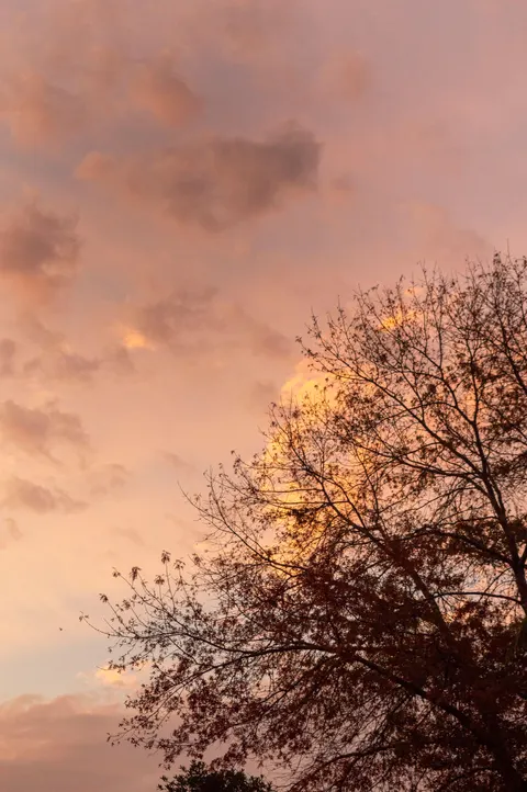 Pastel Clouds Phone Wallpaper · pastel · 1440×2166