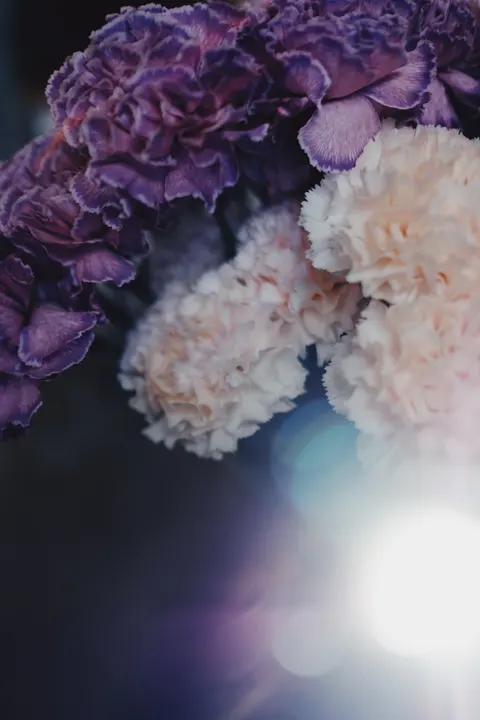 Pastel Blooms Phone Wallpaper · pastel · 1440×2160