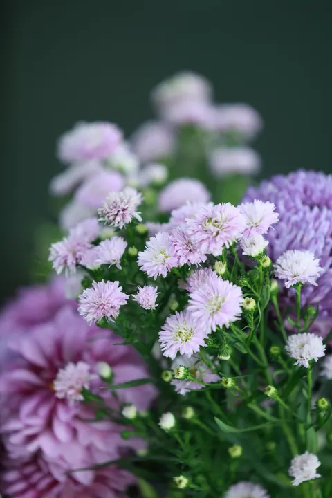Pastel Blooms Phone Wallpaper · pastel · 1440×2160