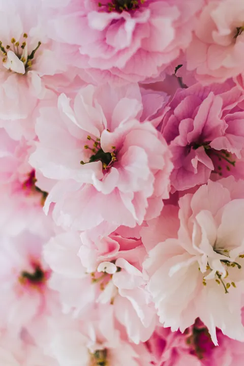 Pastel Blooms Phone Wallpaper · pastel · 1440×2160