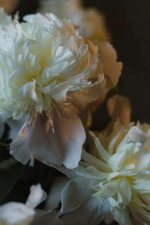 Pastel Blooms Phone Wallpaper · pastel · 1440×2160