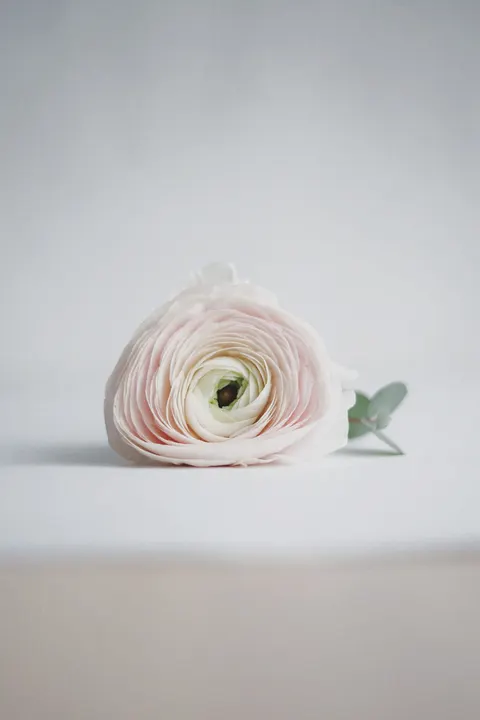 Pastel Blooms Phone Wallpaper · pastel · 1440×2160