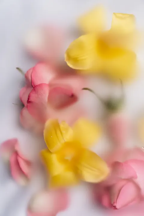 Pastel Blooms Phone Wallpaper · pastel · 1440×2160
