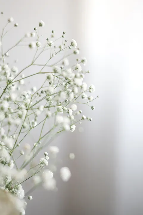 Pastel Blooms Phone Wallpaper · pastel · 1440×2160