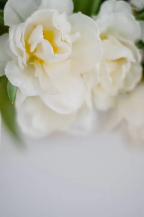 Pastel Blooms Phone Wallpaper · pastel · 1440×2160