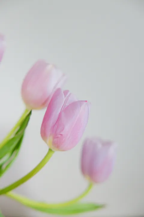 Pastel Blooms Phone Wallpaper · pastel · 1440×2159