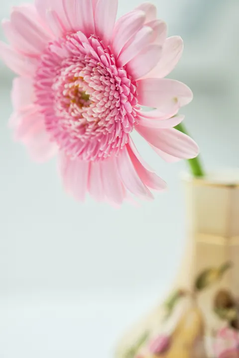 Pastel Blooms Phone Wallpaper · pastel · 1440×2160