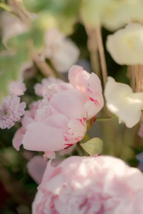 Pastel Blooms Phone Wallpaper · pastel · 1440×2160