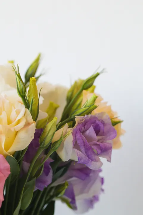 Pastel Blooms Phone Wallpaper · pastel · 1440×2160