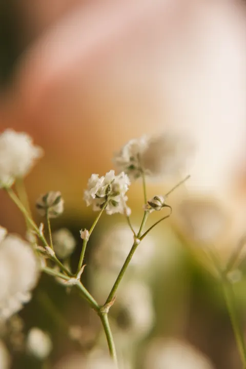 Pastel Blooms Phone Wallpaper · pastel · 1440×2160