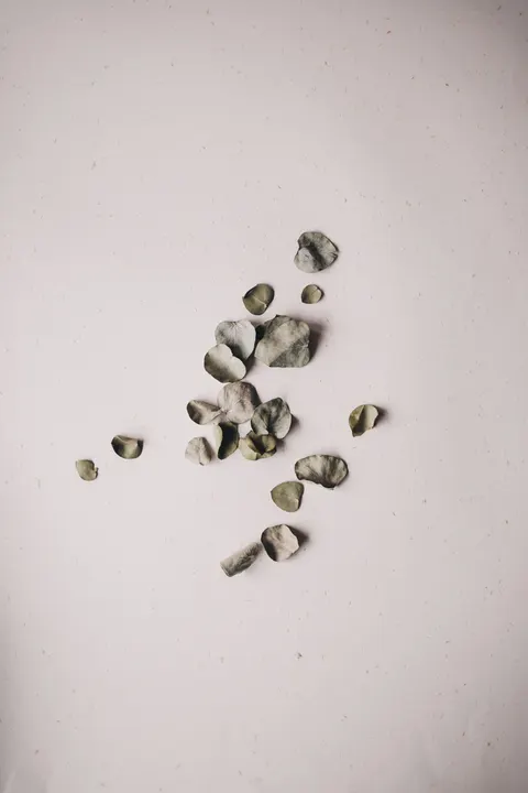 Mint Lavender Phone Wallpaper · pastel · 1440×2160
