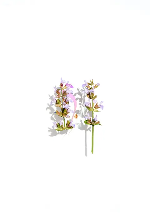 Mint Lavender Phone Wallpaper · pastel · 1440×2157