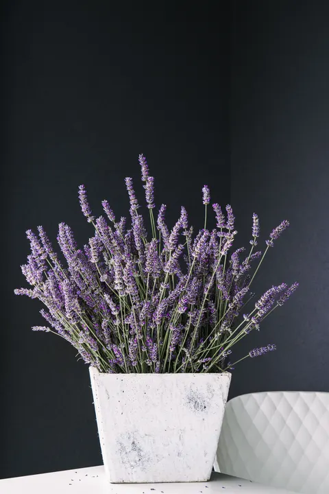 Mint Lavender Phone Wallpaper · pastel · 1440×2160