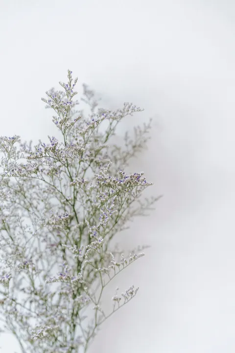 Mint Lavender Phone Wallpaper · pastel · 1440×2160