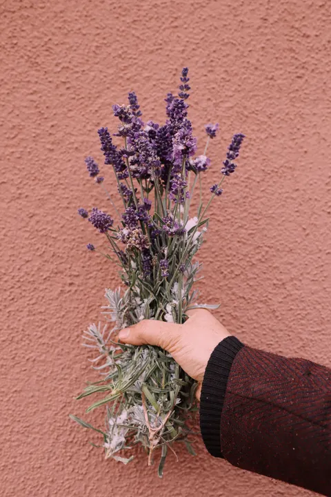 Mint Lavender Phone Wallpaper · pastel · 1440×2160