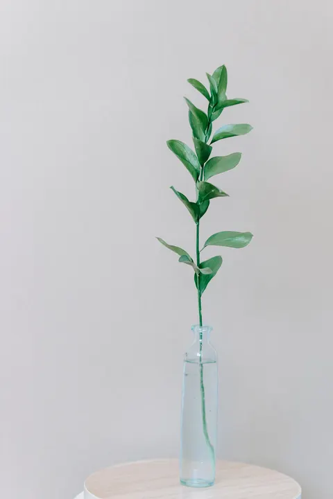 Mint Lavender Phone Wallpaper · pastel · 1440×2160