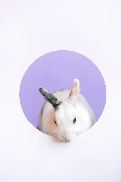 Mint Lavender Phone Wallpaper · pastel · 1440×2160