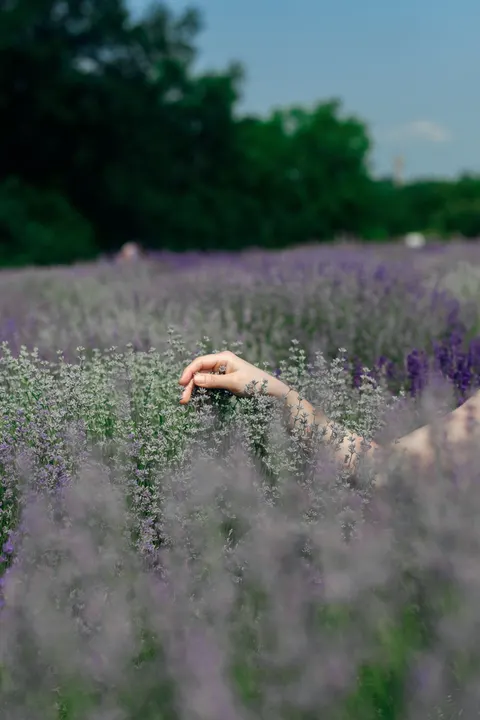 Mint Lavender Phone Wallpaper · pastel · 1440×2160