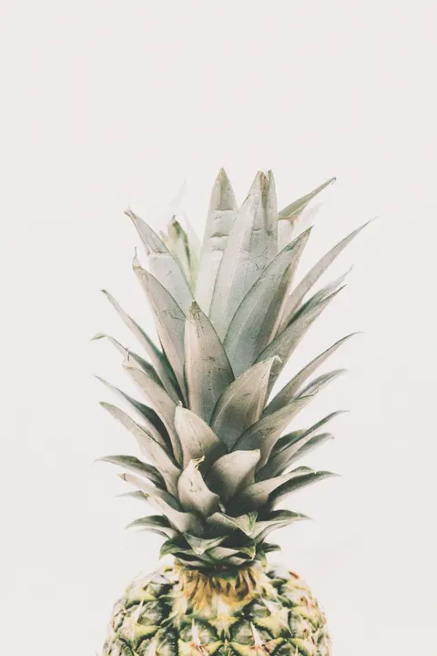 Mint Lavender Phone Wallpaper · pastel · 1440×2160