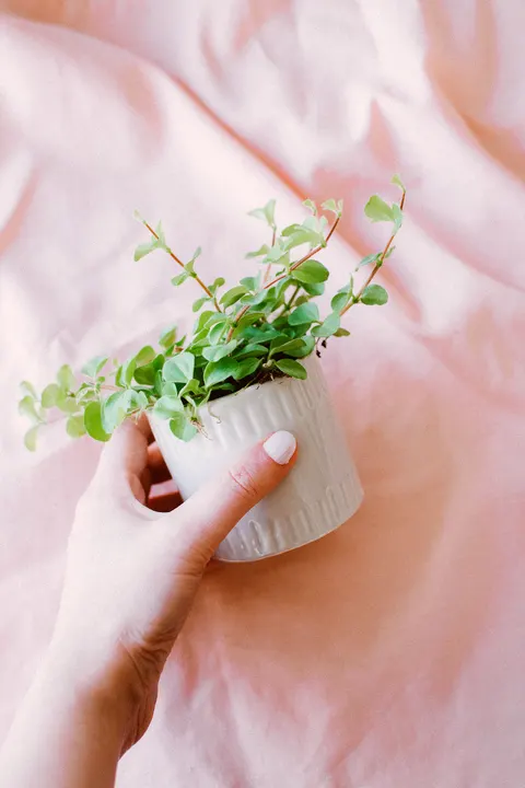 Mint Lavender Phone Wallpaper · pastel · 1440×2160