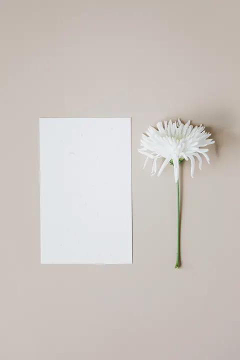 Cream Minimal Phone Wallpaper · pastel · 1440×2160